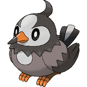 Starly-image.png