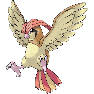 Pidgeotto-image.png