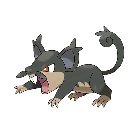 Alolan Rattata2-image.png