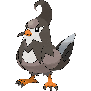 Staravia-image.png