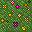 Flowery Grass carpet.png