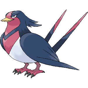 Swellow-image.png