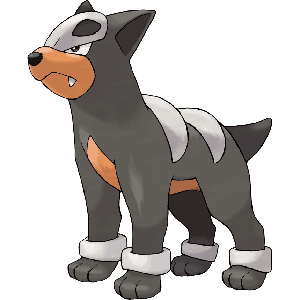 Houndour-image.png