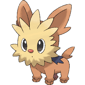 Lillipup-image.png