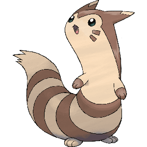 Furret-image.png