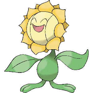 Sunflora-image.png