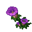 Corrupted Orchid.png