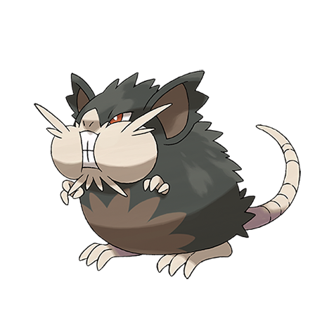 Alolan Raticate-image.png