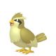 Img-shiny-pidgey.jpg