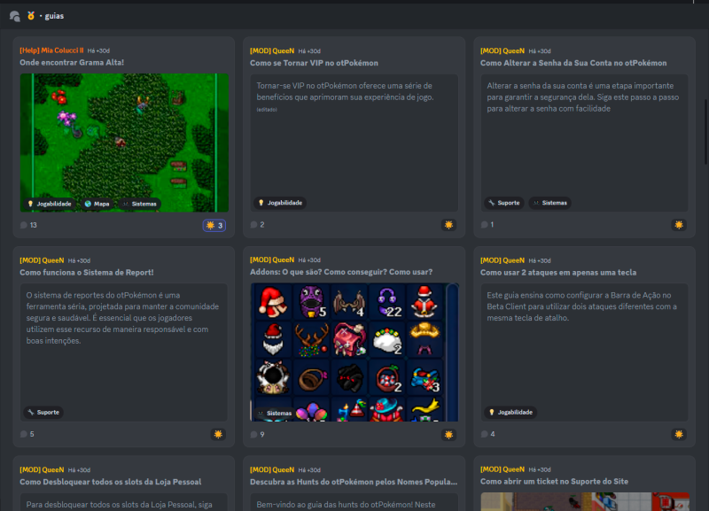 Arquivo:Discord Suporte 5.png