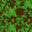 Nature Plains carpet.png