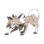 Lycanroc-image.png