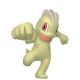 Img-shiny-machop.jpg